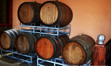 VISITANDO EL VALLE DE ISCHILÍN. BODEGAS Y VIÑEDOS JAIRALA/OLLER