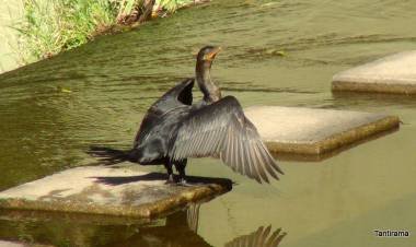 LAS NOTICIAS DE HOY. Jueves 3 de marzo 2022
