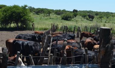TIEMPO ECONÓMICO. 15.03.2022