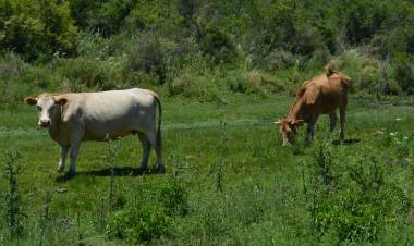 TIEMPO ECONÓMICO. Lunes 21 de marzo 2022
