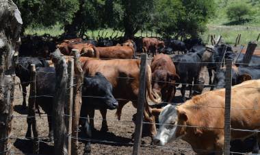 TIEMPO ECONÓMICO DEL MARTES 22 DE MARZO