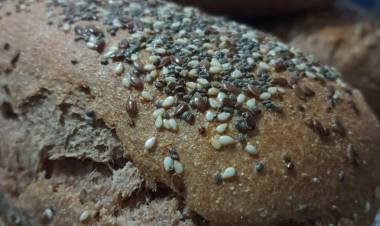 EL PAN NUESTRO DE CADA DÍA