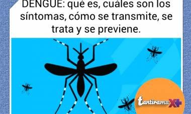 DENGUE: HABLA EL DR. MIROLI