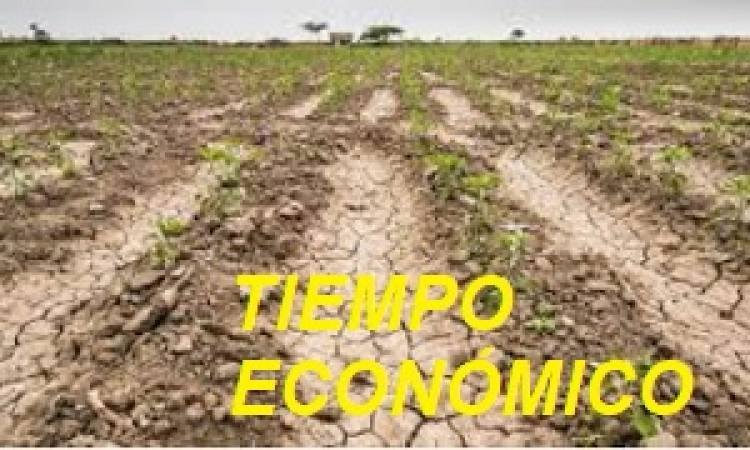 EL CAMPO Y EL MINISTERIO DE ECONOMÍA