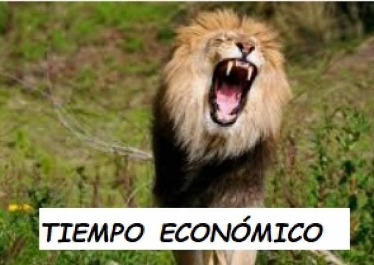 Y EL LEÓN… RUGIÓ DE NUEVO
