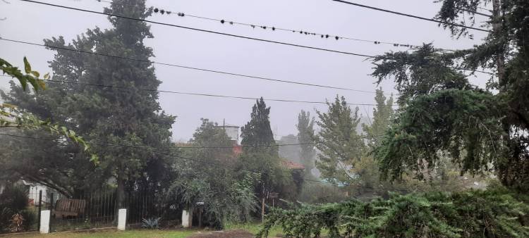 PAISAJE CON NIEBLA Y LLUVIA 