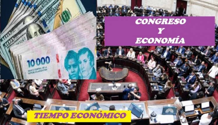 ECONOMÍA Y CONGRESO