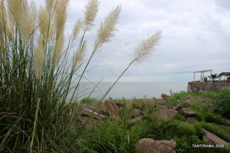 GRAN HOTEL VIENA. El museo.  